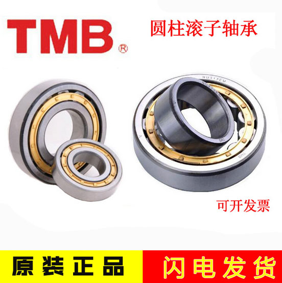 Tianma TMB bearing NJ NU304 305 306 307 308 309 310 311 312EM