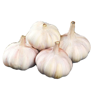 精选挑选大蒜头干蒜多瓣蒜颗颗饱满新鲜农家干大蒜种植精品