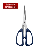 Blue Home Cut [Light and Light Experience Edition]