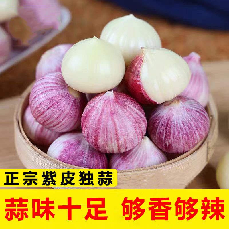 独头蒜的功效与作用探析-健康-淘宝百科网