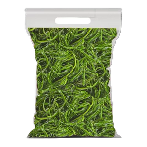 鞭炮笋5斤凉拌菜盐渍马尾藻火锅食材麻辣烫长寿菜海草菜海藻商用x