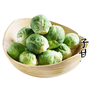 孢子甘蓝新鲜蔬菜9斤西餐沙拉食材迷你小包菜蔬菜沙拉抱子甘蓝s