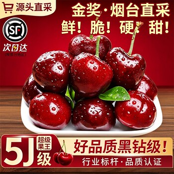 Fresh fruits, seasonal large cherries, authentic shandong meizao cherries, domestic cherries, large fruits, freshly picked