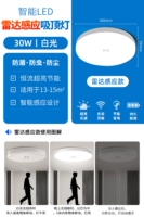 [Радарная индукция] 30 Вт энергии белого света.