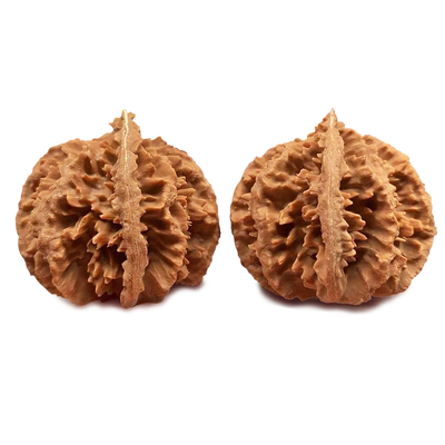 陕西秦岭野外生文玩粗筋古玩