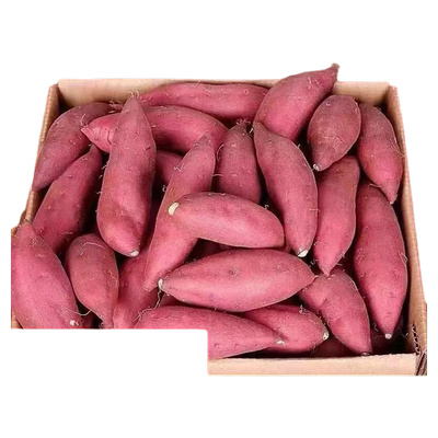 板栗红薯9斤超甜|超2万次加购