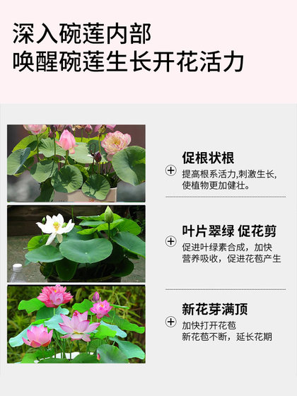 碗莲营养液专用水溶肥水培睡莲通用肥料治慢开花植物黄叶烂根净水
