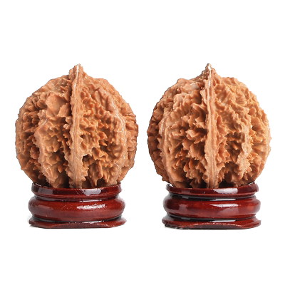 文玩手把玩件刺多密细精选品