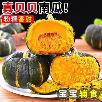 Fresh and authentic beibei pumpkin, chestnut flavored small pumpkin, old chestnut noodles, baby food supplement, sweet and delicious powder, waxy and delicate