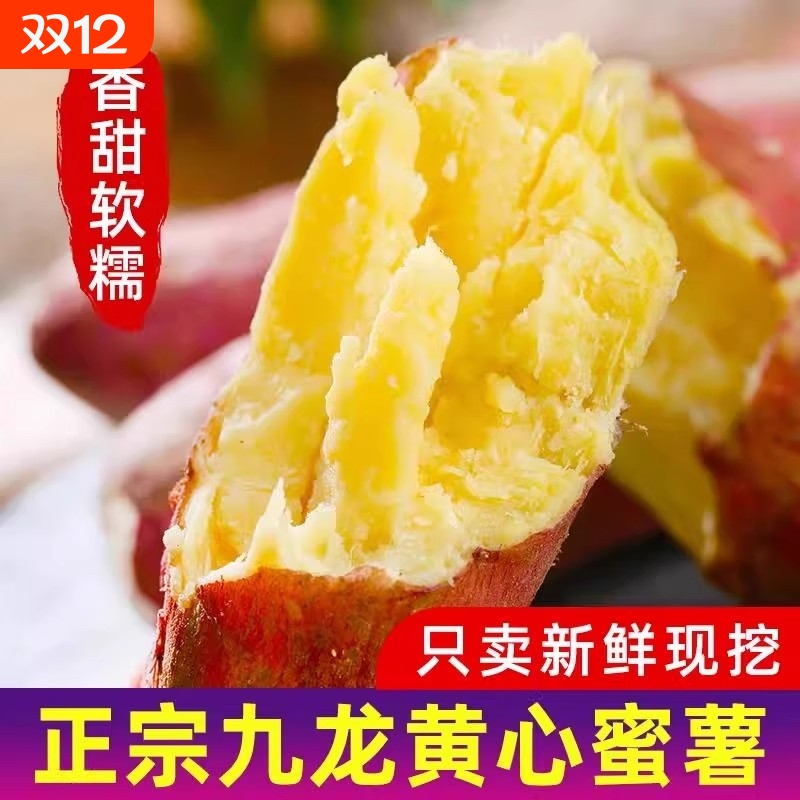 Freshly dug sandy Longjiu honey potatoes, sweet potatoes, fresh sweet potatoes from farmers, freshly grown roasted sweet potatoes and sweet potatoes, self-sown yellow hearts in season