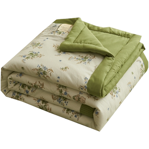 泡泡棉空调被子被芯棉薄被子四件套学生宿舍单人2024新款大豆双人