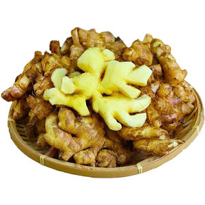 新客立减云南小黄姜嫩姜月子姜大黄姜老姜汁现挖y生姜带泥食用