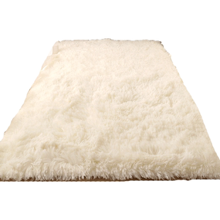 地毯卧室床边毯ins客厅茶几毯房间坐垫毛绒毛毯地垫入户隔音家用