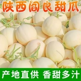 ШАНСИ ЯНЛИАНГ МЕРОНИЯ 9 Кратки свежих фруктов выбирают целую коробку с овечьями, хрустящая сладкая дыня маленькая белая дыня медовый кроман 5 5