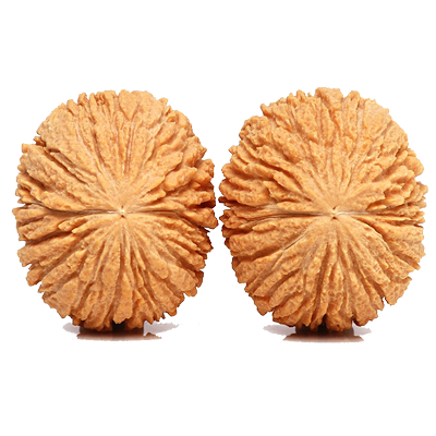 福瑞堂姜黄皮金丝顺纹猴头核桃