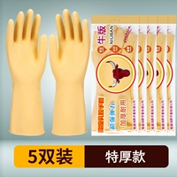 [5 Double] True Colors 100 Type 100 (рекомендуемая модель)