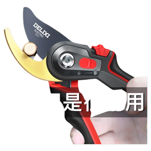 德力西电气园艺剪刀剪树枝专用修枝剪园林花卉果树花艺师修枝剪刀
