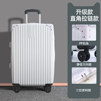 Обновить утолщенную правую -приложатесь к молнии/рисовому белую