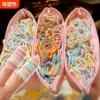 Товары от 天天特卖工厂