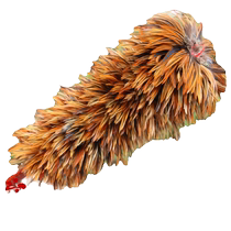 Real feather duster for household use retractable and non-shedding for car cleaning anti-static dust removal Zenzi