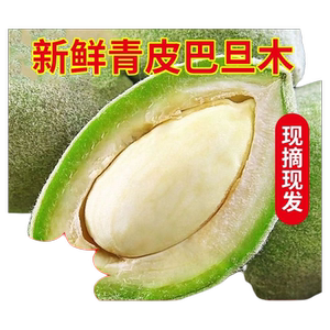 新鲜青皮巴旦木薄壳皮现摘绿皮生扁桃仁原味每日坚果孕妇专用s