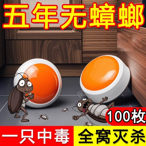 Таракана, убивающая медицину, искренняя домашняя крытая нетоксика, целое гнездо.