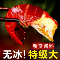 [4 фунта без ледяной вершины] Специальный A 2 фунта, 150/Jin, кормление (1 кг)