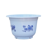 Полюсная вода горшок горшок с зеленым растением вода лотция