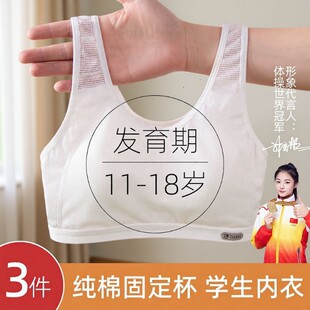 Non-magnetic thin memory soft steel ring ice cream B cup gathering Tiansi cotton side-closing adjustment bra underwear 9052