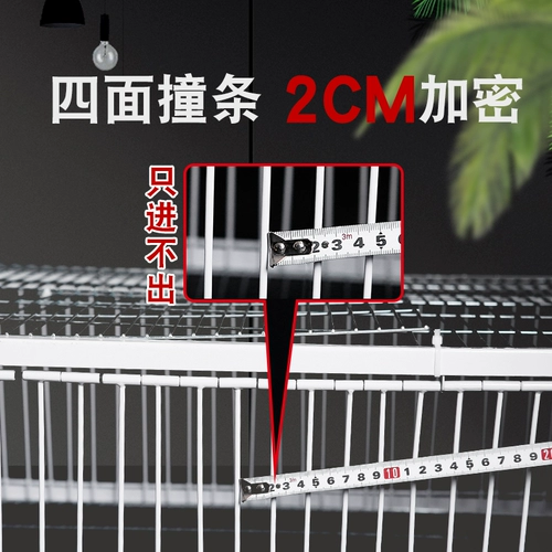 Tian Luo Голубь -клетка