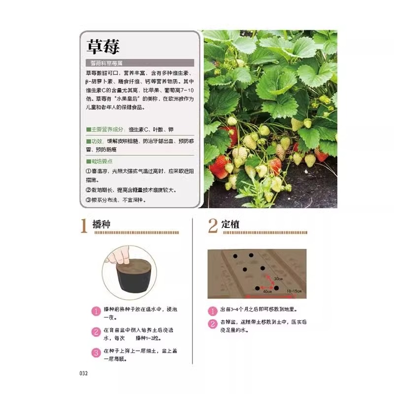 植物大战僵尸2新手攻略：手把手教你从菜鸟到高手！
