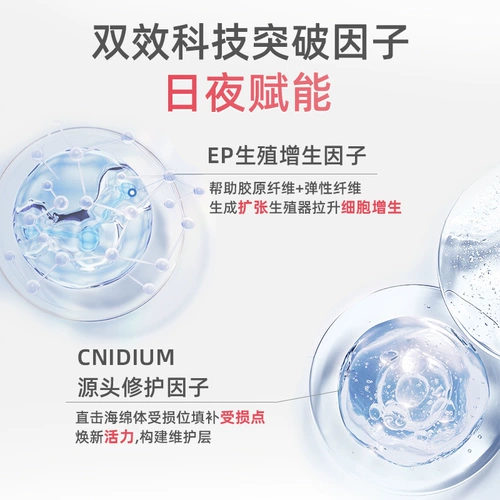 Мужчины увеличивают утолщенное жесткое подлинное ремонт, задержанные повреждения губки и крем для регенерации.