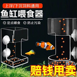 Fish Tank Feeder Fish Food Feeder Anti-Scattering Small Fish Feeding Ring Feeding Ring Sinking Acrylic Fixed Point