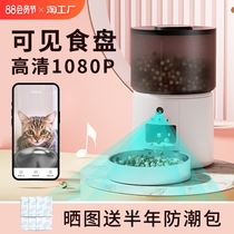 (Food bowl visible in the video) Automatic cat feeder intelligent timed and quantitative pet dog food self-service feeding machine