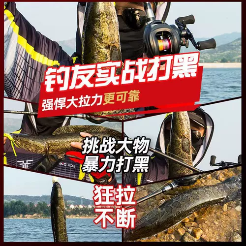 Луя Полный комплект комплектов наборов луи -полюс