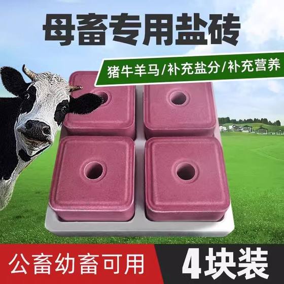 Special licking bricks for cattle and sheep, special salt bricks for horses and cows, special salt nutrition, veterinary trace element feed