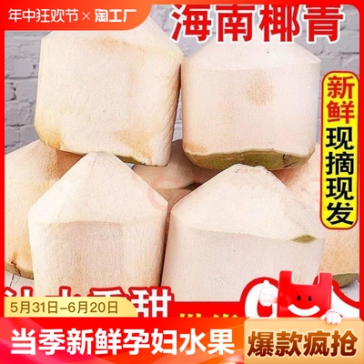 Hainan Coconut Green Свежий кокосовый кокосовый беременный женщины