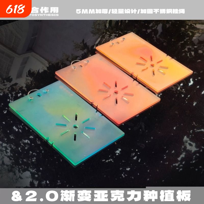 2.0 Gradient Acrylic Antler Fern Hanging Board Planting Board for Orchids and Dendrobiums with Sphagnum Moss Ball Plants