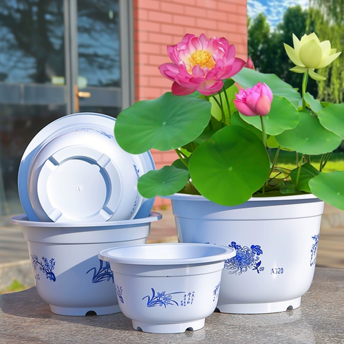 Полюсная вода горшок горшок с зеленым растением вода лотция