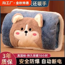 Hot water bottle rechargeable baby warmer explosion-proof electric hand warmer hot water bottle for girls plush cute warm quilt hand warmer