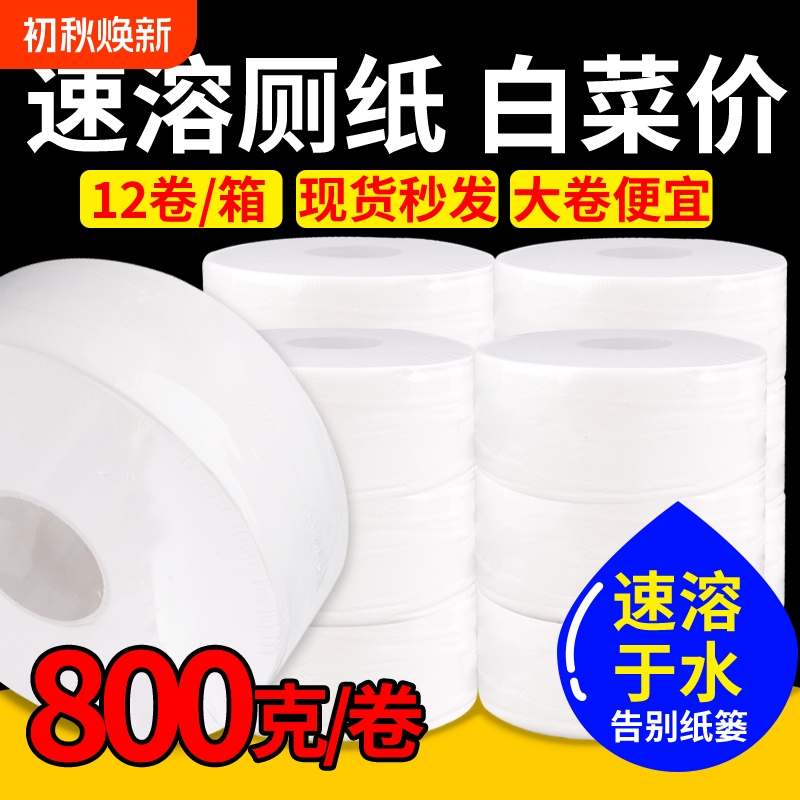 800g 2-Ply Large Roll Toilet Paper, Commercial Toilet Paper, Hotel-Specific Toilet Tissue, Roll Paper