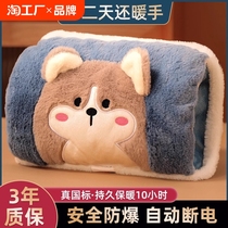 Hot water bottle rechargeable baby warmer explosion-proof electric hand warmer hot water bottle for girls plush cute warm quilt hand warmer