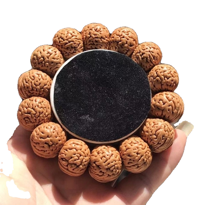 文玩桃核野外生精挑蚂蚁山核桃胡