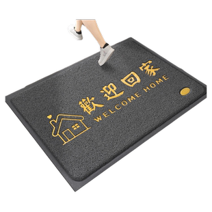 进门地垫大门口丝圈脚垫家用入户门出入平安门垫室内玄关除尘地毯