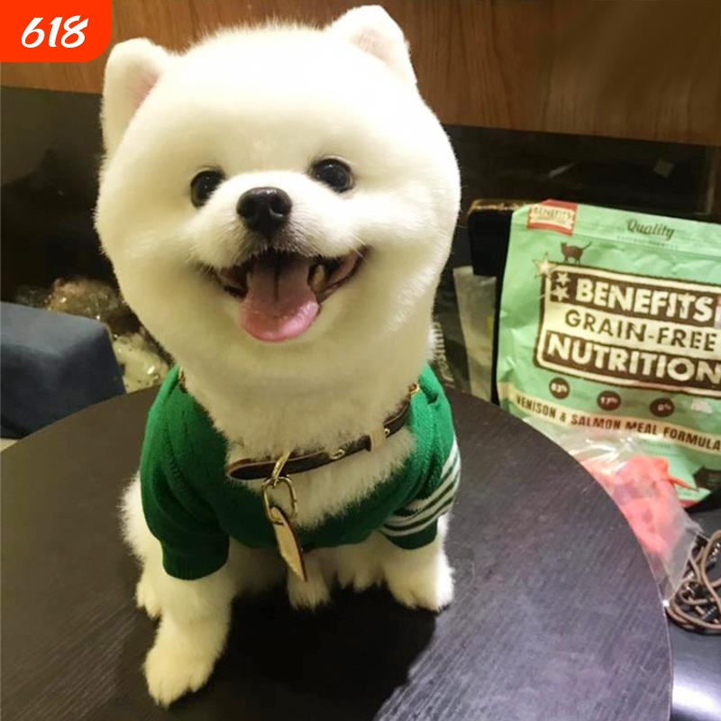 Christmas Pet Clothes Trendy Brand Dog Clothes Autumn and Winter Sweaters for Teddy, French Bulldog, English Bulldog, Corgi, and Cat Sweaters Christmas Pet Clothes Trendy Brand Dog Clothes Autumn and Winter Sweaters for Teddy, French Bulldog, English Bulldog, Corgi, and Cat Sweaters