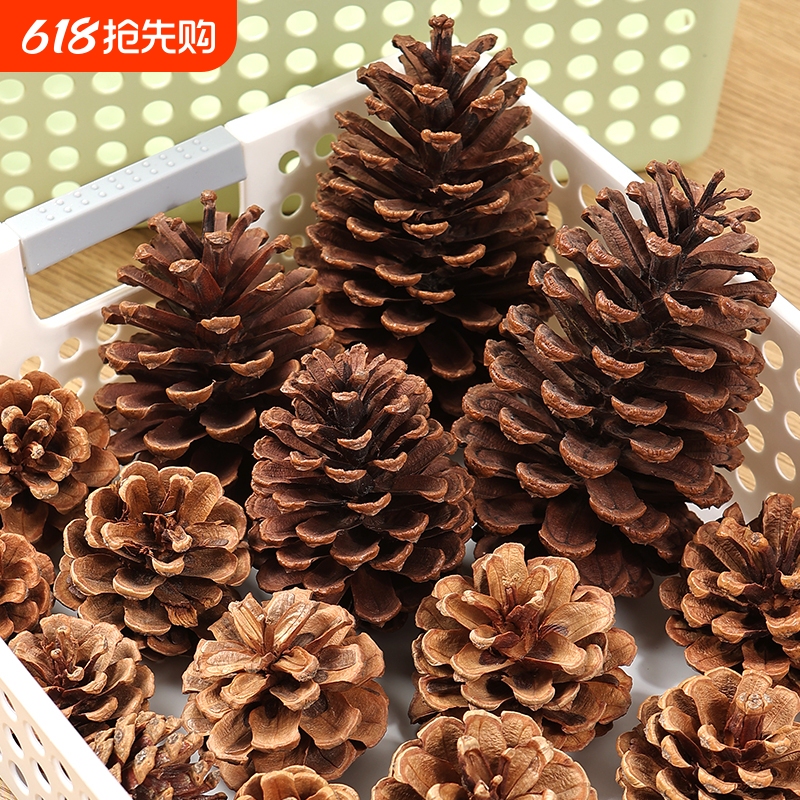 Pine Cone and Pine Cone Decoration DIY Materials for Kindergarten Environment Creation Accessories, Mini Dried Flowers, Handmade Branches
