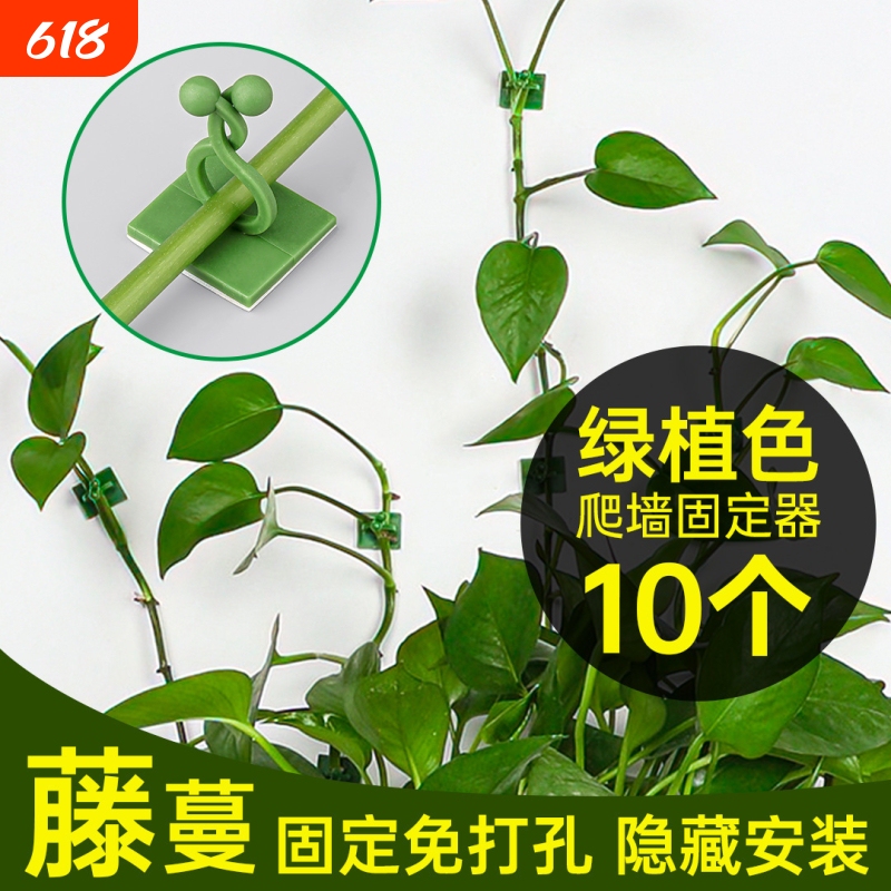 Plant Climbing Tool for Green Plants, Wall Climbing Plant Holder, Green Plant Clip, Traceless Hook, Sticky Climbing Vine Rod, Plant Gardening
