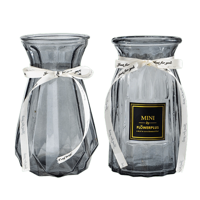 两件套玻璃花瓶富贵竹简约