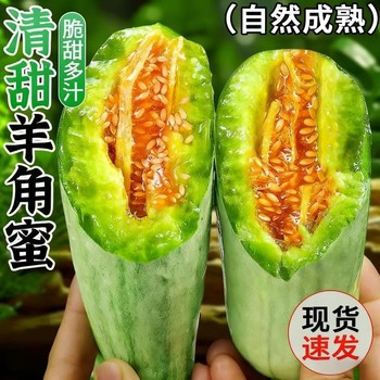 Shandong croissant honeydew melon fresh fruit 10jin jin is equal to 0.5kg seasonal crispy sweet melon cantaloupe seasonal croissant crispy whole box