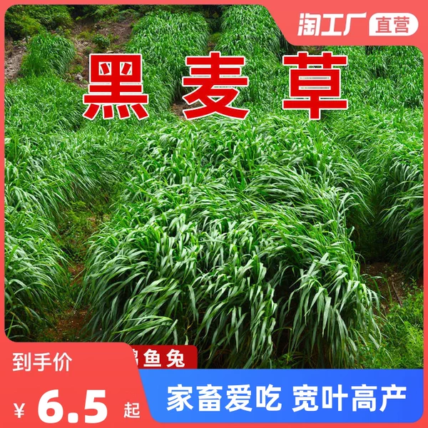 Товары от 天天特卖工厂店